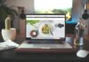 5 Reasons Why Your Business Should Have a Web Page