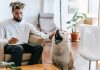 Five things to consider while hiring a dog trainer