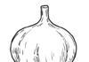How to draw a Garlic Step by Step