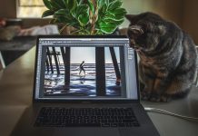 Adobe Photoshop