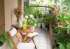 How To Choose The Best Plants For Your Rooftop Garden