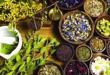 Erectile Dysfunction Ayurvedic Herbal Treatment Erectile Dysfunction