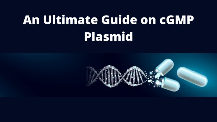 An Ultimate Guide on cGMP Plasmid An Ultimate Guide on cGMP Plasmid