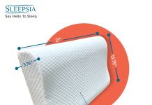 How to Choose the Best Pillow for Neck Pain? Best Pillow for Neck Pain