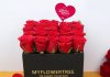 rose day gifts