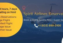 How to Book Spirit Airlines Reservations and Manage Spirit Air Bookings Spirit Airlines Reservations