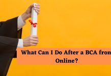 What Can I Do After a BCA from Online? 11 Options That Will Put You on the Right Path