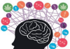 MODALERT 200MG IGNITES YOUR MIND TO RESPOND QUICKLY. MODALERT 200MG IGNITES YOUR MIND TO RESPOND QUICKLY.