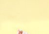 Care Of 5star Nails 2022 5star Nails