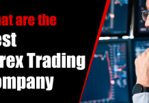 What are the best forex trading company forex trading company