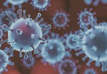 The coronavirus sub-variant BA.2 The coronavirus sub-variant BA.2