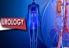 Learn When To Consult A Urologist And What Diseases They Treat urology