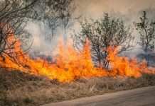 Bushfire and Air Purifiers – Are they the Solution? bushfire