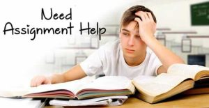 Dissertation Help