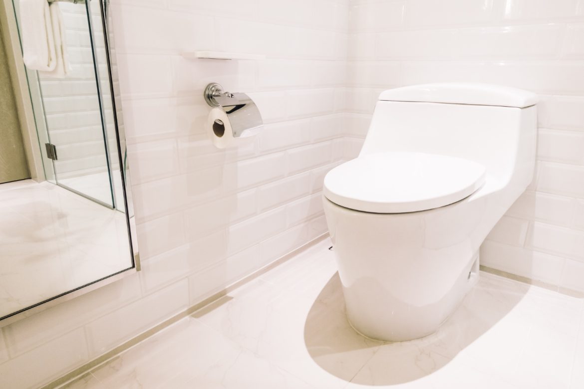 Toilet Repair Services